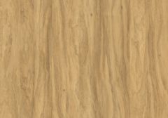 Sunlesh Greenhill Nut-Suede